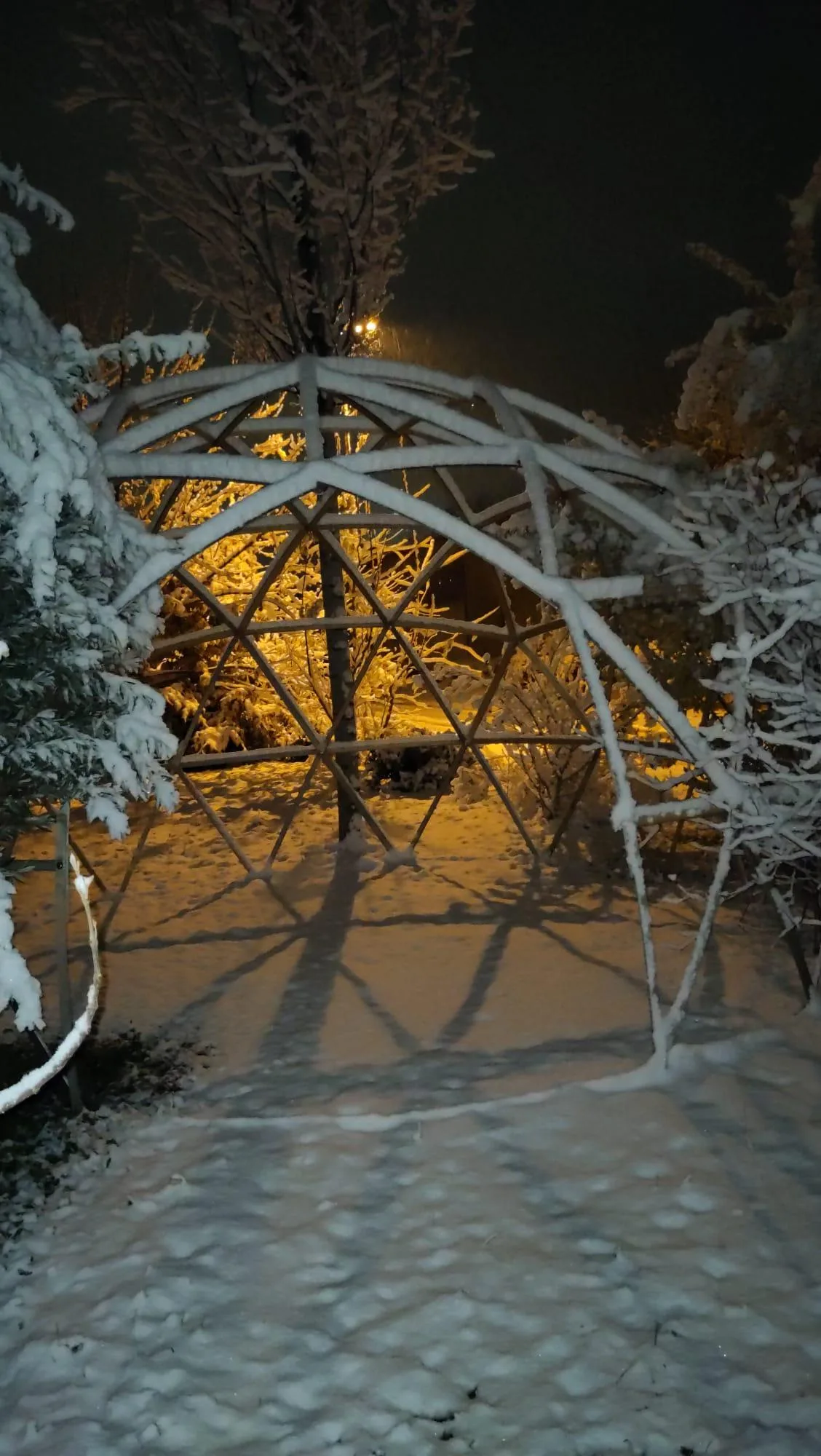 Lebensdome